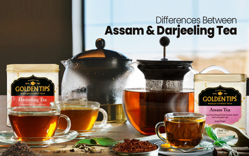 Assam Tea or Darjeeling Tea? Understanding the Difference