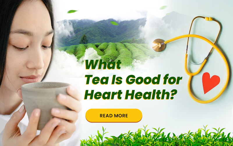 What Tea Is Good for Heart Health? Golden Tips