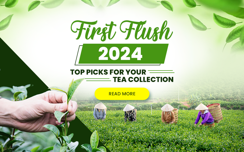 First Flush 2024 Favorites: Top Picks for Your Tea Collection