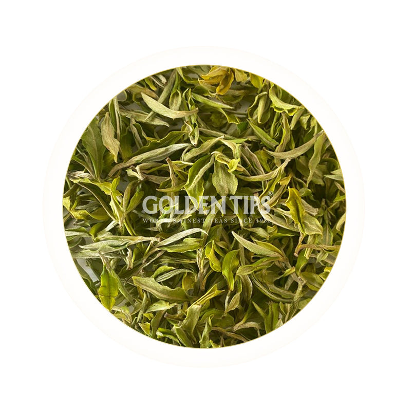 Arya - Spring Pearl Organic Darjeeling White Tea First Flush 2025