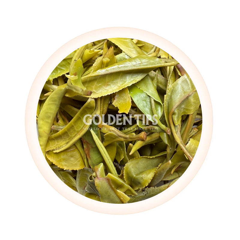Arya - Spring Pearl Organic Darjeeling White Tea First Flush 2025