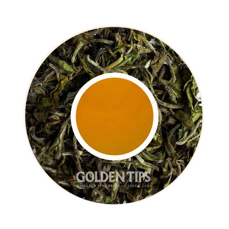 Giddapahar - Spring Elegance Darjeeling Black Tea First Flush 2025