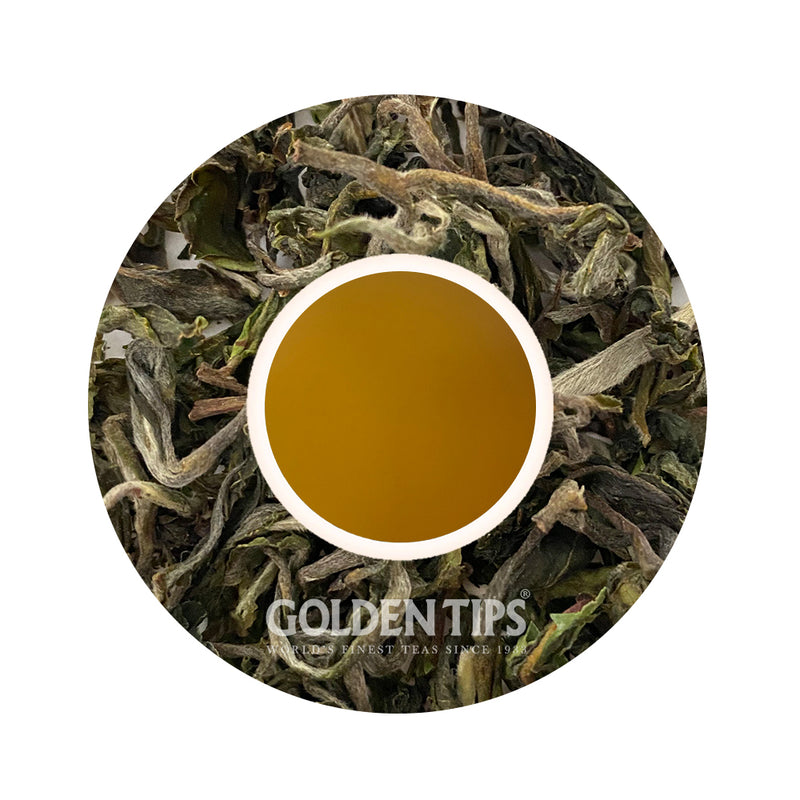 Glenburn - Spring Moonshine Darjeeling Black Tea First Flush 2025