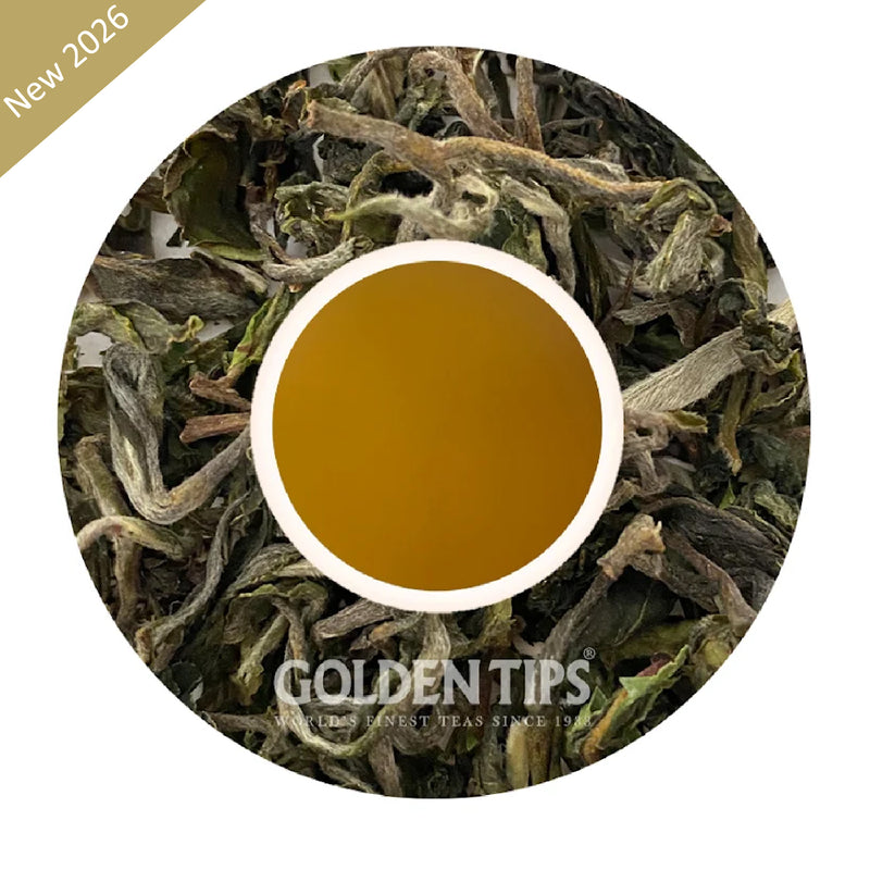 Glenburn - Spring Moonshine Darjeeling Black Tea First Flush 2026