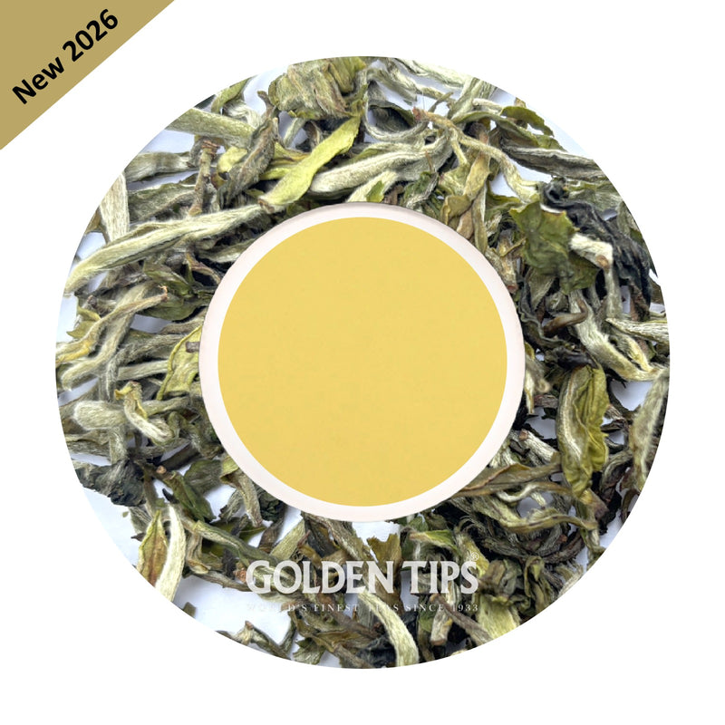 Mim - Spring Gaiety Darjeeling Black Tea First Flush 2026