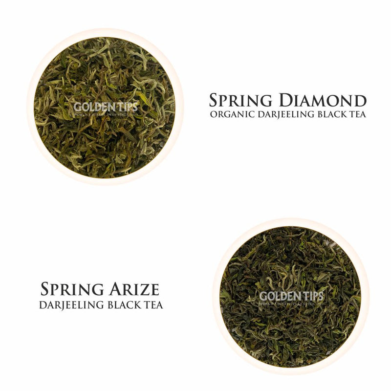 Darjeeling Spring Stars Black Tea First Flush-2023
