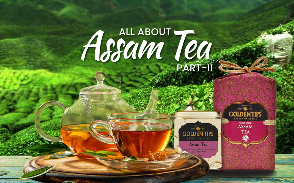 Assam Tea - History, Taste Profile, FAQ, and More (Part 2)