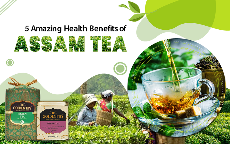 Asseam Tea 5 Amazing Health Benefits of Assam Teas – Golden Tips
