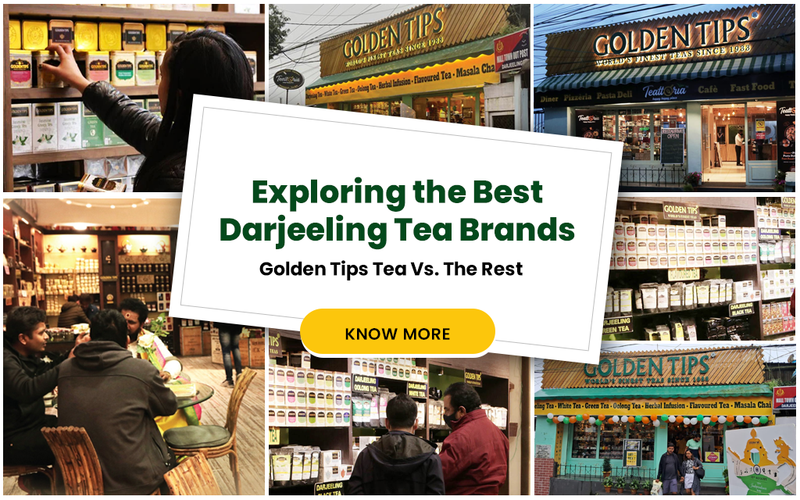 Exploring the Best Darjeeling Tea Brands: Golden Tips Tea vs. The Rest