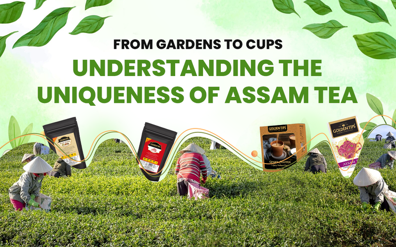 From Gardens to Cups: Understanding the Uniqueness of Assam Tea