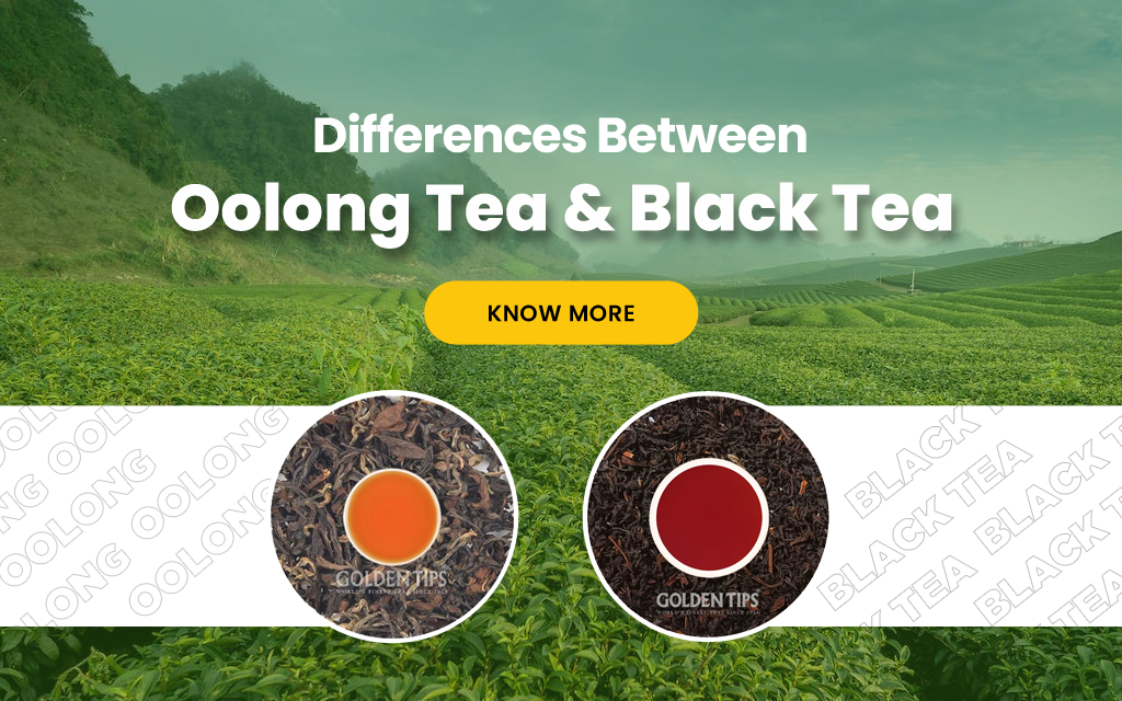 Differences Between Oolong Tea And Black Tea