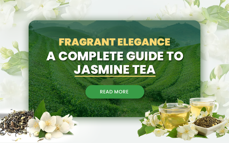 Fragrant Elegance: A Complete Guide to Jasmine Tea