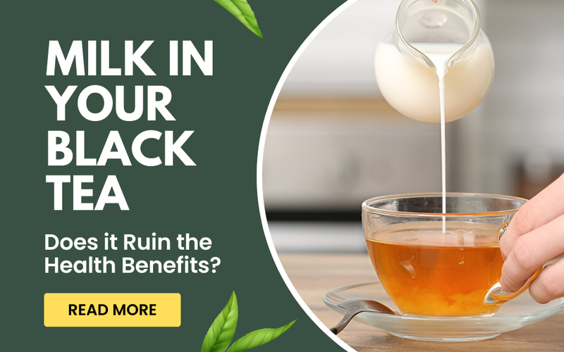 Does Adding Milk to Black Tea Ruin Its Health Benefits? – Golden Tips