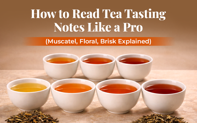 Beginner Guide for Tea Tasting Notes: Muscatel, Floral & Brisk ...
