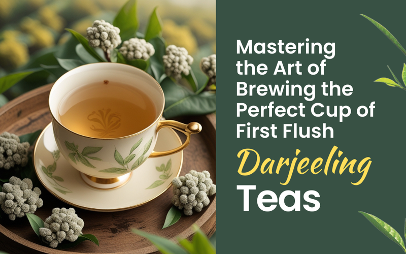Mastering the Art of Brewing the Perfect Cup of First Flush Darjeeling Tea