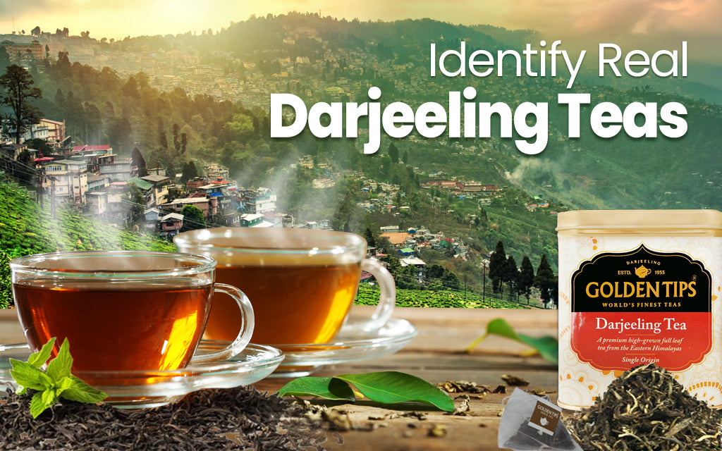 How to Buy Authentic High-Quality Darjeeling Tea
