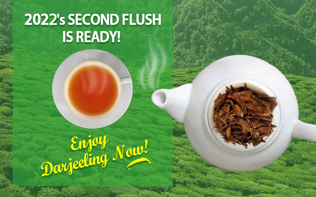 Announcing Darjeeling Second Flush Tea in 2022