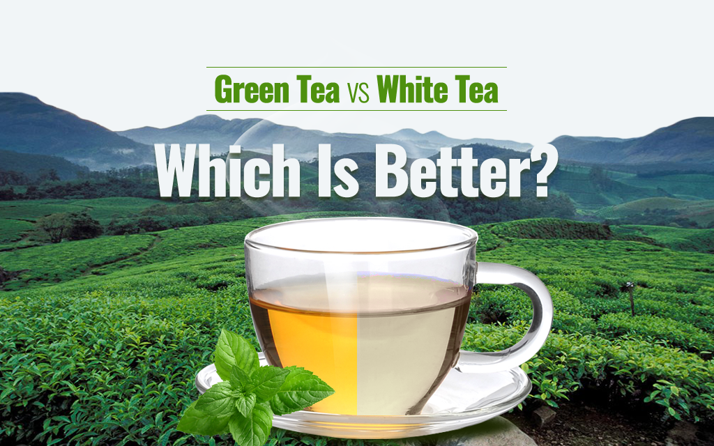 Green Tea vs. White Tea Which Is Better?