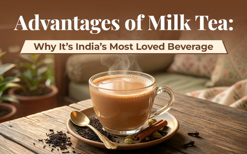 Advantages of Milk Tea: Why It’s India’s Most Loved Beverage