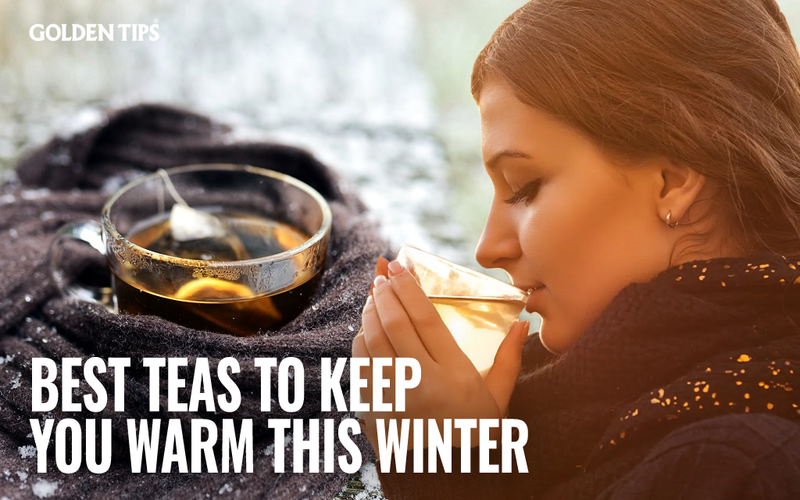 Top 5 Teas to Keep Your Body Warm This Winter – Golden Tips