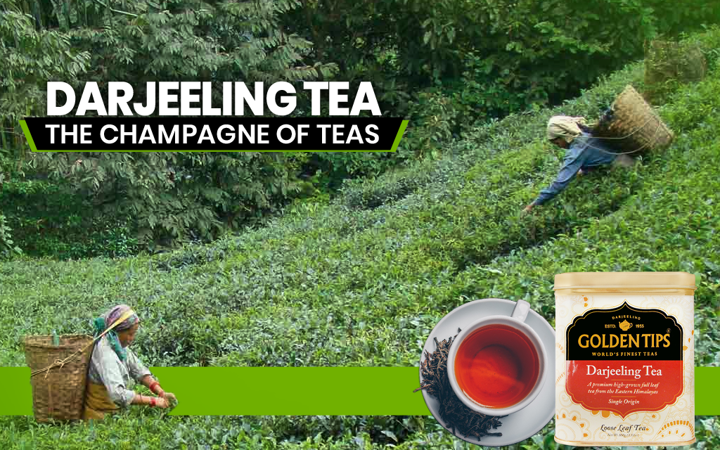 Why Darjeeling Tea Is Called the Champagne of Teas