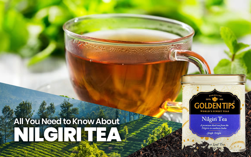All You Need to Know About Nilgiri Tea