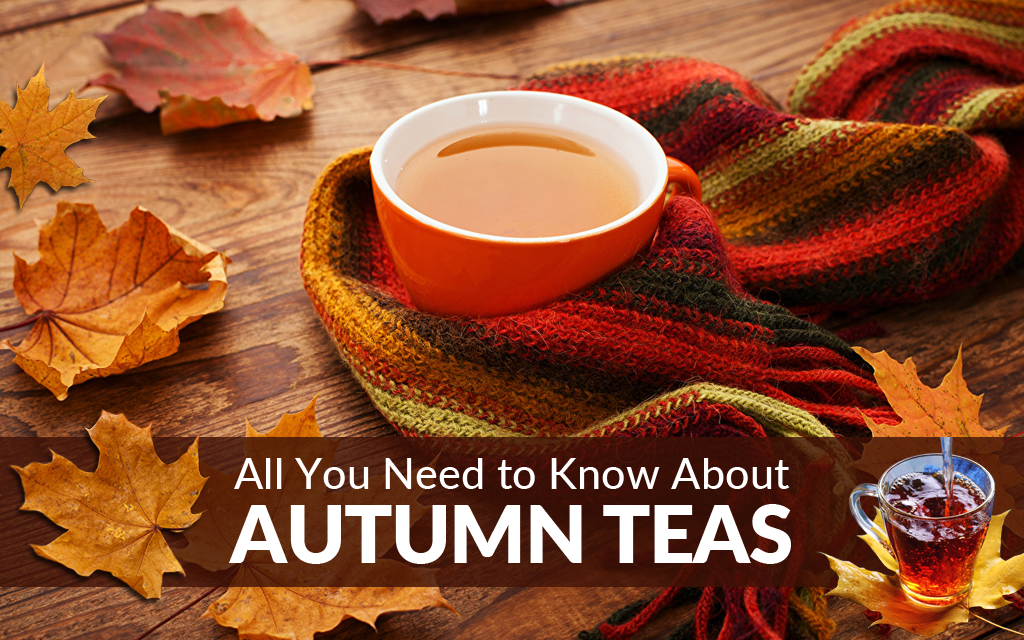 All You Need to Know About Autumn Teas