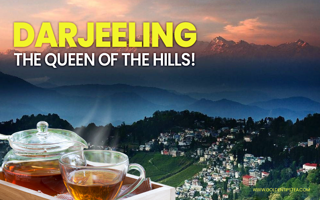 The Champagne of Teas Part 2: Darjeeling Region