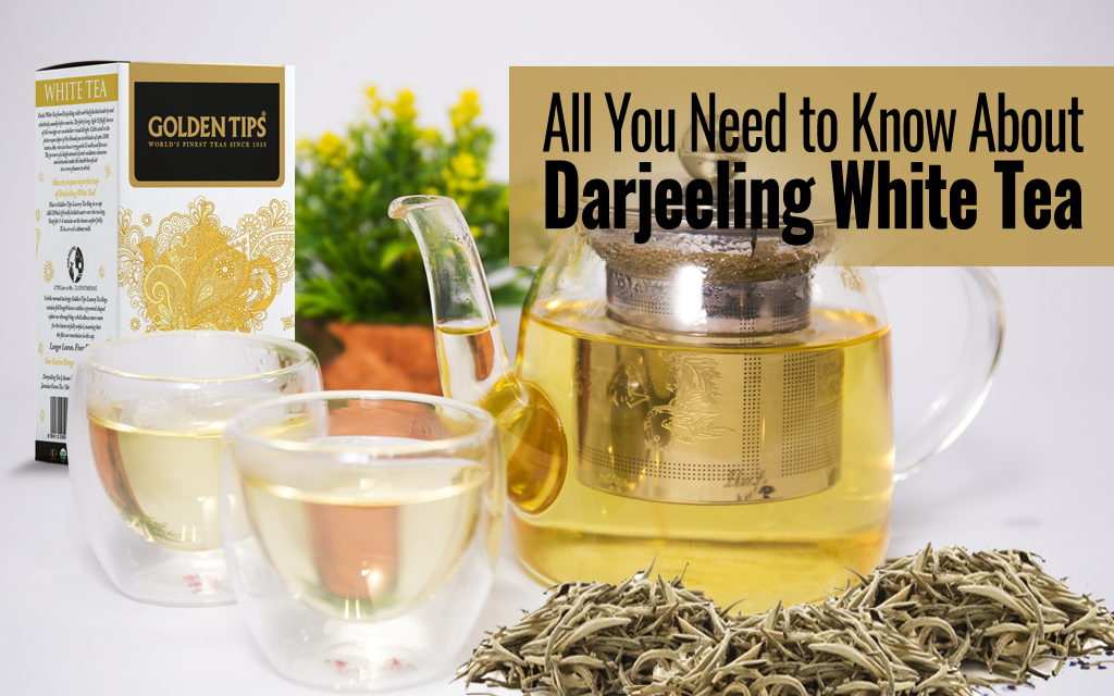 All You Need to Know About Darjeeling White Tea