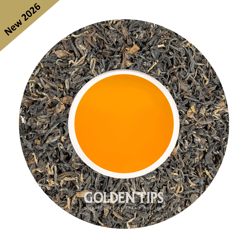 Badamtam - Tippy Clonal Gold Darjeeling Tea Second Flush 2026