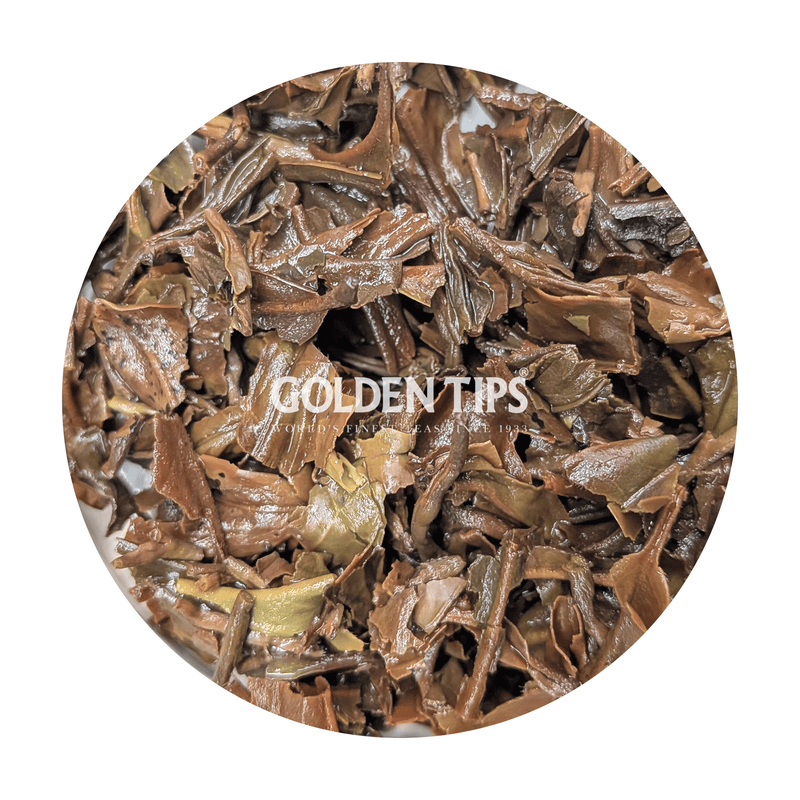 Margaret's Hope - Summer Tippy Grandeur Darjeeling Tea Second Flush 2026