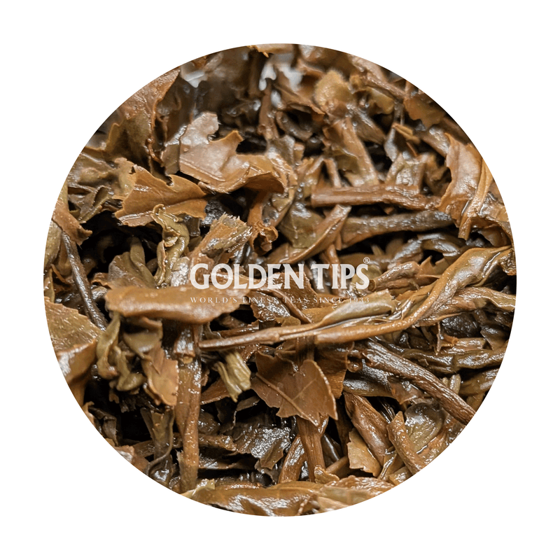 Badamtam - Tippy Clonal Gold Darjeeling Tea Second Flush 2026