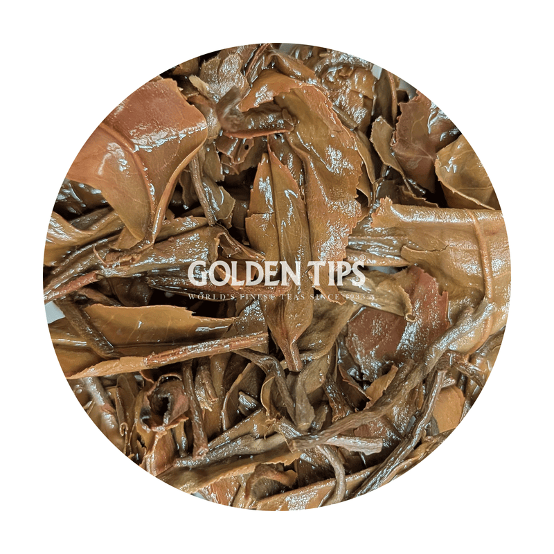 Arya - Ruby Regalia Organic Darjeeling Tea Second Flush 2026