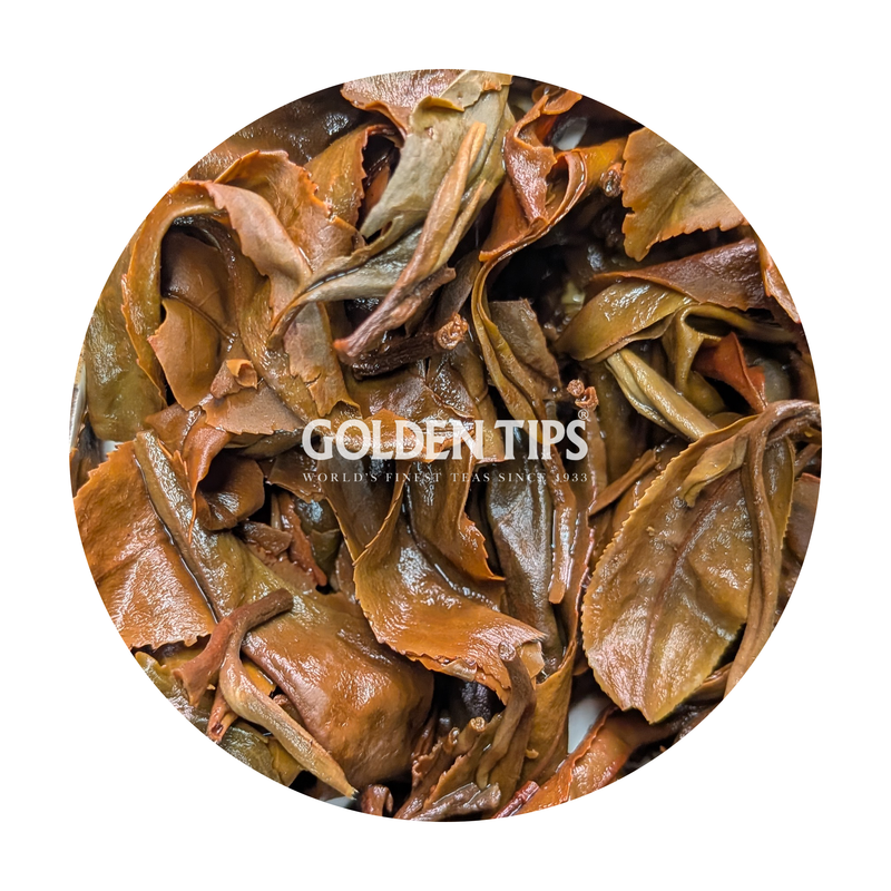 Arya - Summer Diamond Star Organic Darjeeling Tea Second Flush 2026