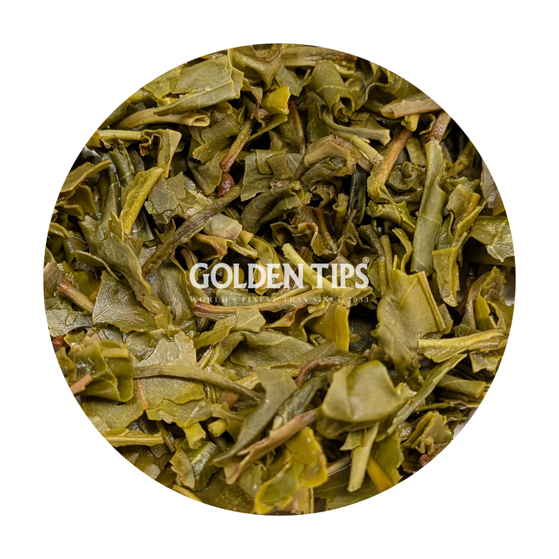 Arya - Green Melody Organic Darjeeling Tea First Flush 2026