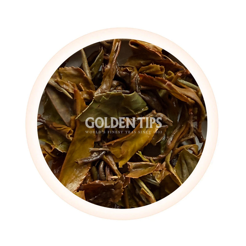Arya - Ruby Autumn Star Organic Darjeeling Black Tea Autumn Flush 2025