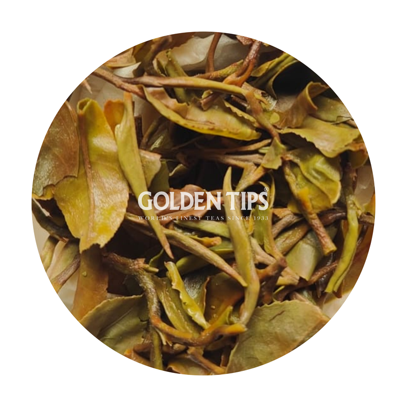 Avongrove - Moonshine Hint Organic Darjeeling White Tea First Flush 2026