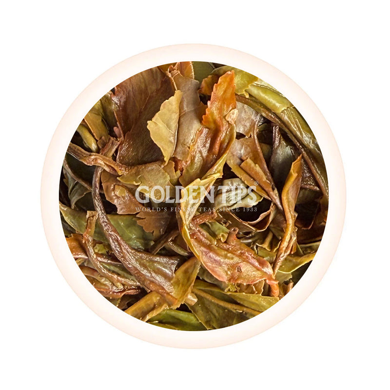 Arya - Ruby Classic Darjeeling Black Tea First Flush 2025