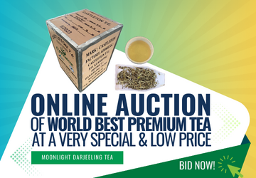 Golden Tips Tea: Buy Premium Loose Leaf Indian Tea, Direct from source