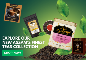 Golden Tips Tea: Buy Premium Loose Leaf Indian Tea, Direct from source