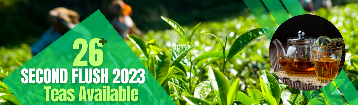 Golden Tips Tea: Buy Premium Loose Leaf Indian Tea, Direct from source