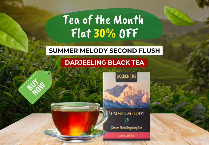 Golden Tips Tea: Buy Premium Loose Leaf Indian Tea, Direct from source