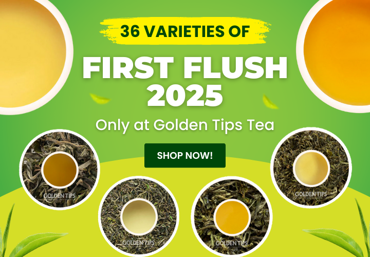 Golden Tips Tea: Buy Premium Loose Leaf Indian Tea, Direct from source