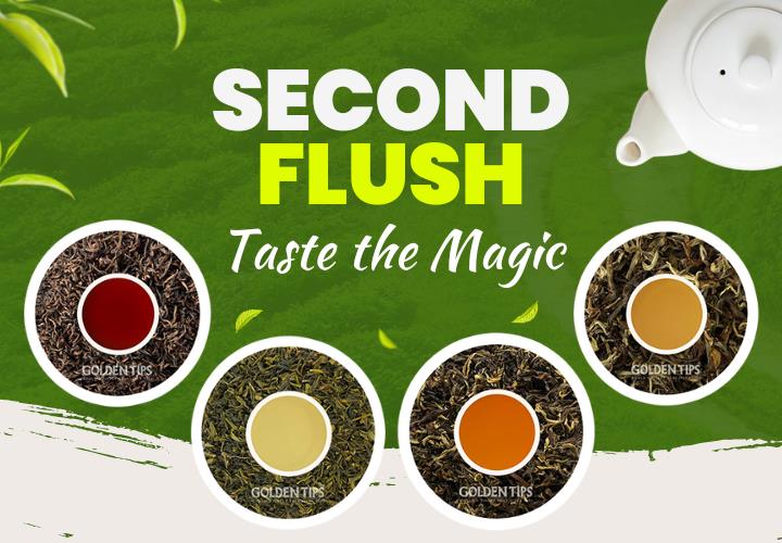 Golden Tips Tea: Buy Premium Loose Leaf Indian Tea, Direct from source