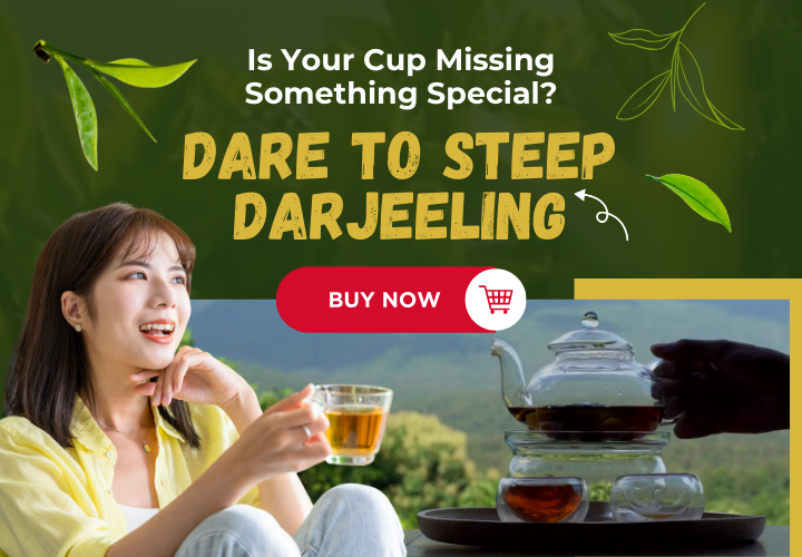 Golden Tips Tea: Buy Premium Loose Leaf Indian Tea, Direct from source