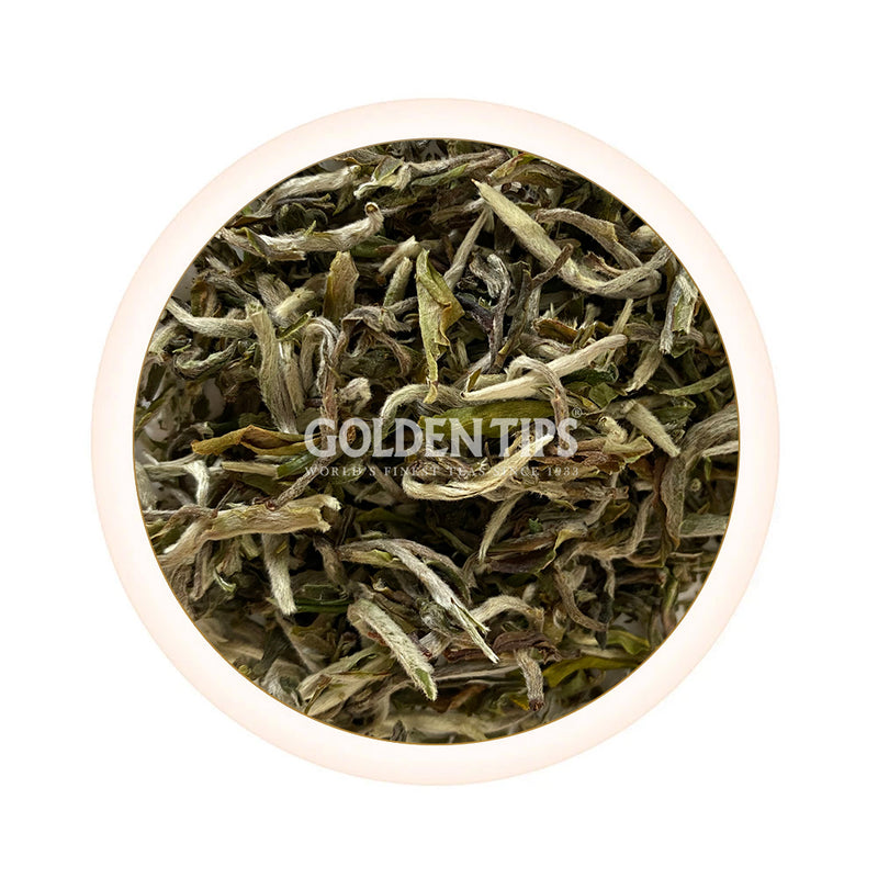 Namring Upper - Moonlight Elixir Darjeeling Black Tea First Flush 2026