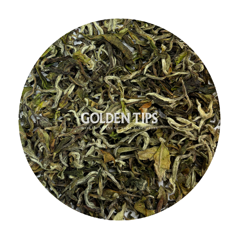 Namring Upper - Moonlight Elixir Darjeeling Black Tea First Flush 2026