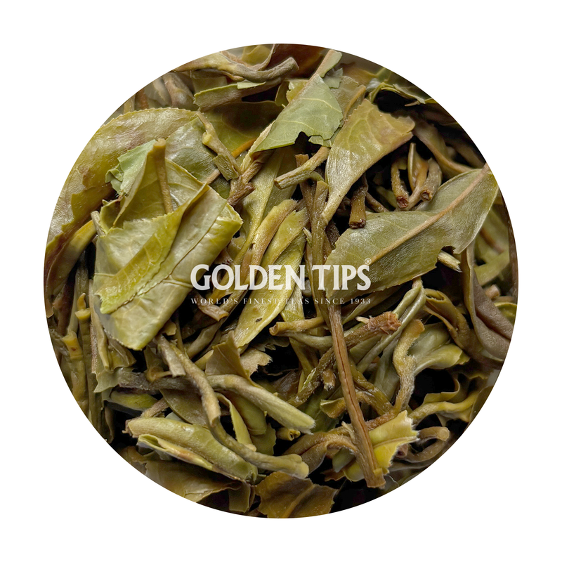 Tukvar - Spring Secret Darjeeling Tea First Flush 2026