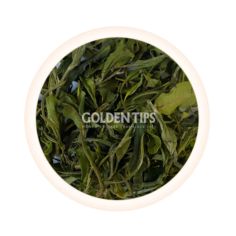 Pearl Haze Darjeeling White Tea First Flush 2024