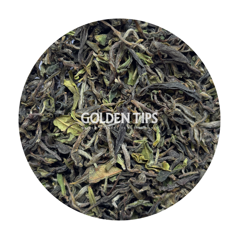 Wah - Mountain Mist Magnus Kangra Tea First Flush 2026